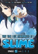 Cover-Bild zum Titel 'That Time I Got Reincarnated as a Slime Omnibus 1 (Vol. 1-3)' von 'Fuse'