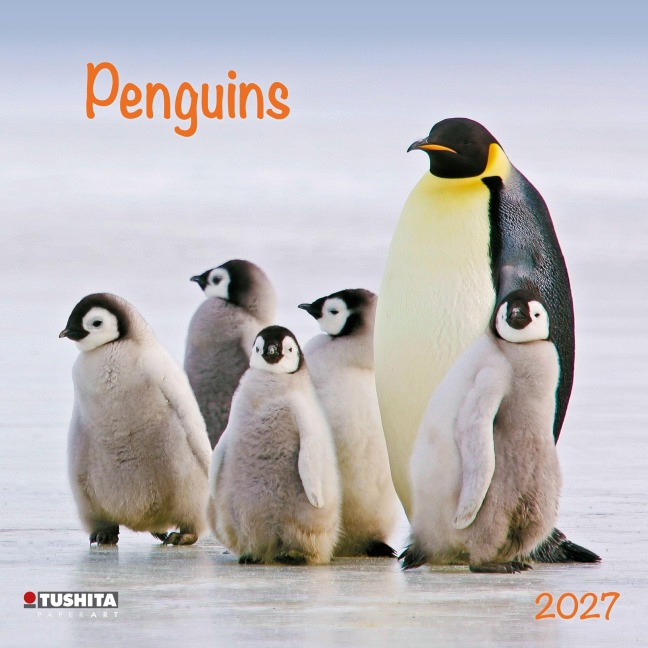 Penguins 2027 - 