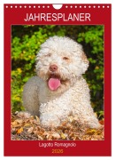 Cover-Bild zum Titel 'Jahresplaner Lagotto Romagnolo (Wandkalender 2026 DIN A4 hoch), CALVENDO Monatskalender' von 'Sigrid Starick'