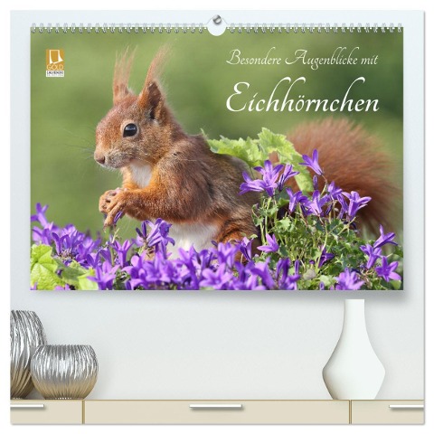 Besondere Augenblicke mit Eichhörnchen (hochwertiger Premium Wandkalender 2025 DIN A2 quer), Kunstdruck in Hochglanz - Tine Meier