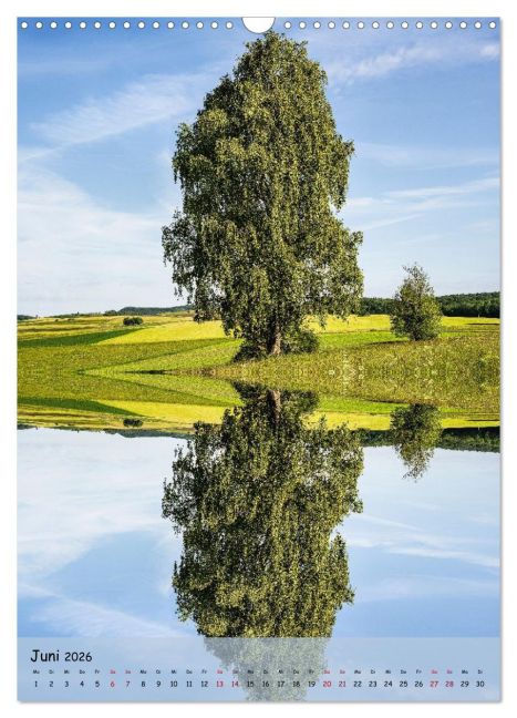 InsideView 11