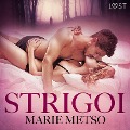 Cover-Bild zum Titel 'Strigoi - erotisk novell' von 'Marie Metso'