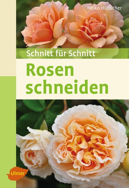 Rosen schneiden - Heiko Hübscher