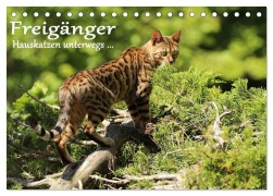 Cover-Bild zum Titel 'Freigänger - Hauskatzen unterwegs (Tischkalender 2026 DIN A5 quer), CALVENDO Monatskalender' von 'Werner Schmäing'