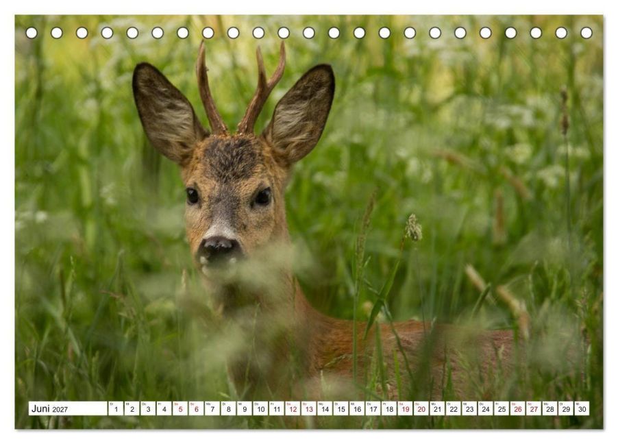 InsideView 11