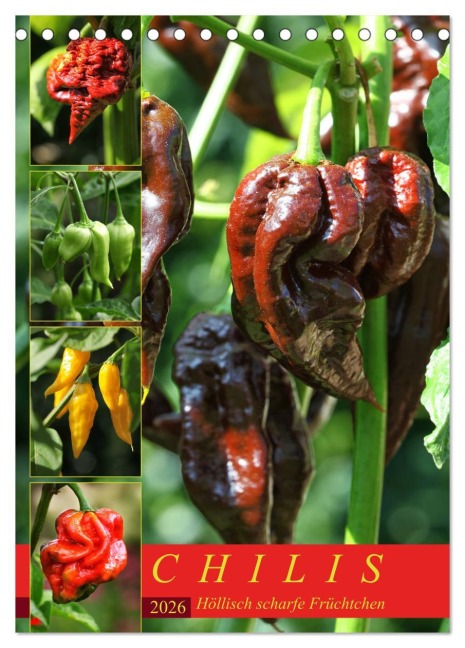 Chilis - Höllisch scharfe Früchtchen (Tischkalender 2026 DIN A5 hoch), CALVENDO Monatskalender - Martina Cross
