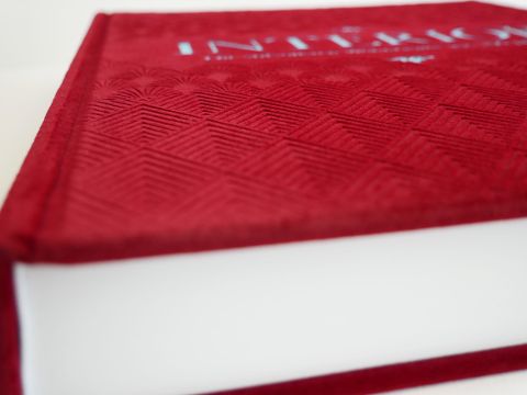 InsideView 1