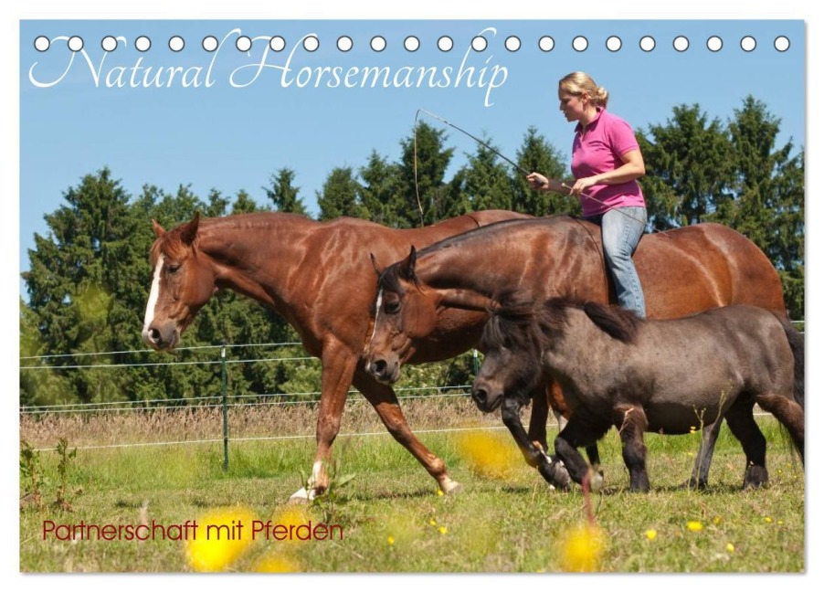 Natural Horsemanship - Partnerschaft mit Pferden (Tischkalender 2026 DIN A5 quer), CALVENDO Monatskalender - Meike Bölts