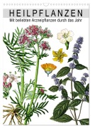 Cover-Bild zum Titel 'Heilpflanzen (Wandkalender 2026 DIN A3 hoch), CALVENDO Monatskalender' von 'Bilder Bilwissedition. Com Layout: Babette Reek'