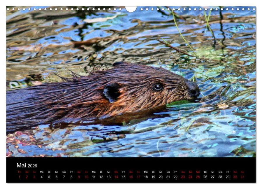 InsideView 10