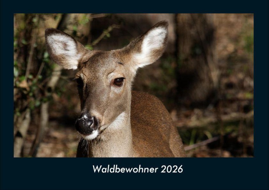 Waldbewohner 2026 Fotokalender DIN A4 - Tobias Becker