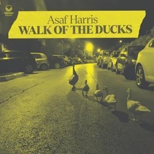 Walk of The Ducks - Asaf Harris