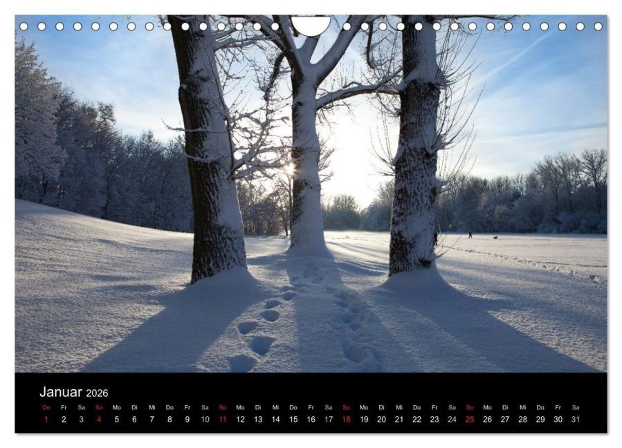 InsideView 6
