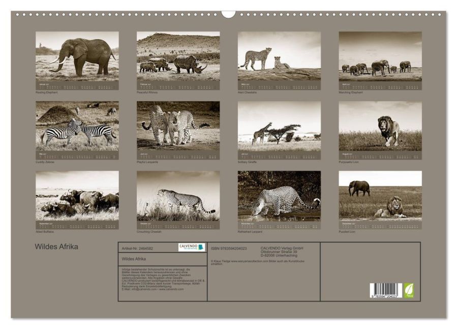 InsideView 5