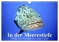 In der Meerestiefe. Fische und Korallen im ewigen Blau (Wandkalender 2025 DIN A4 quer), CALVENDO Monatskalender - Elisabeth Stanzer