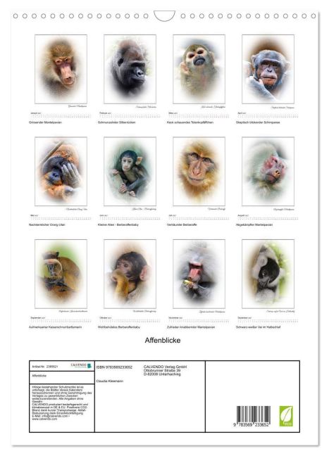 InsideView 5