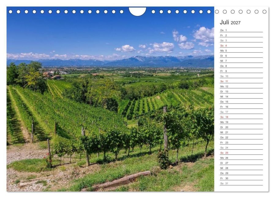 InsideView 12