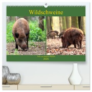 Wildschweine - Tiere aus unseren Wäldern (hochwertiger Premium Wandkalender 2026 DIN A2 quer), Kunstdruck in Hochglanz - Arno Klatt
