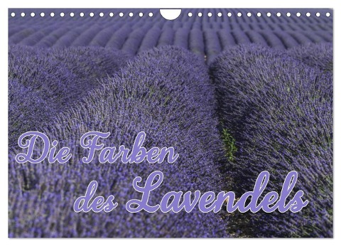 Die Farbe des Lavendels (Wandkalender 2024 DIN A4 quer), CALVENDO Monatskalender - Ralf-Udo Thiele