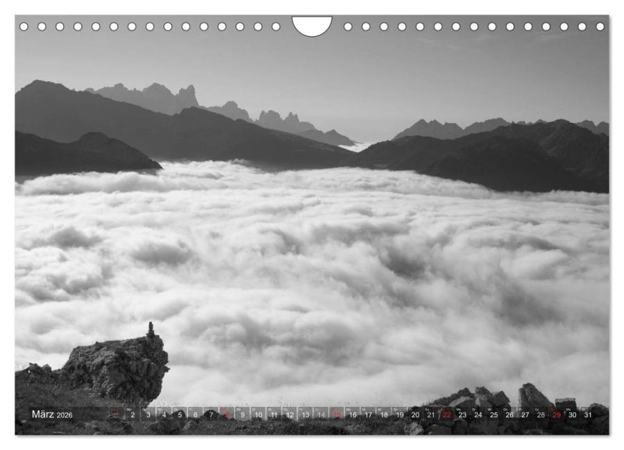 InsideView 8