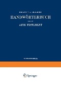 Cover-Bild zum Titel 'Wilhelm Gesenius' Hebräisches und Aramäisches Handwörterbuch über das Alte Testament' von 'Wilhelm Gesenius, Frants Buhl'