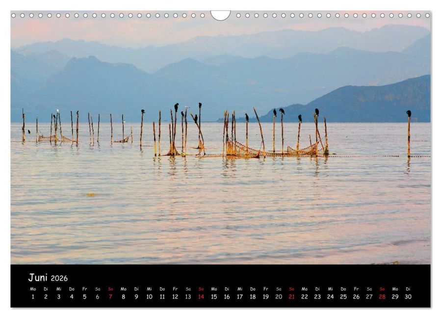 InsideView 11