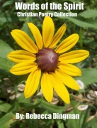 Cover-Bild zum Titel 'Words of the Spirit' von 'Rebecca Dingman'
