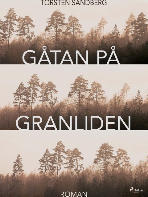 Gåtan på Granliden - Torsten Sandberg