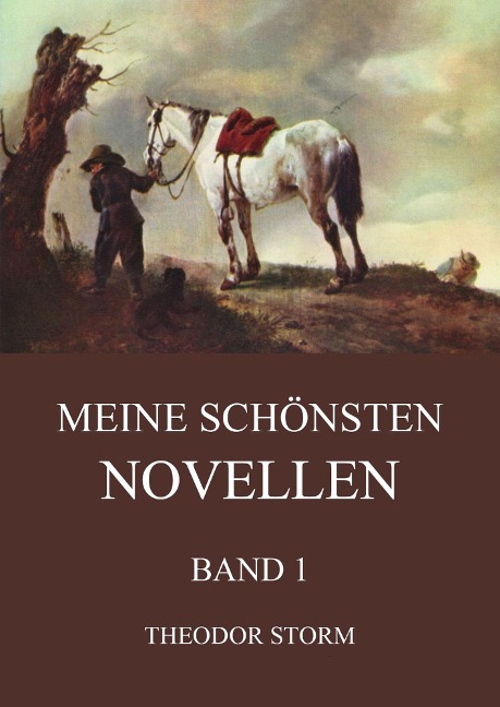 Meine schönsten Novellen, Band 1 - Theodor Storm