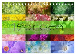 Cover-Bild zum Titel '12 Farben (Tischkalender 2026 DIN A5 quer), CALVENDO Monatskalender' von 'Martina Cross'