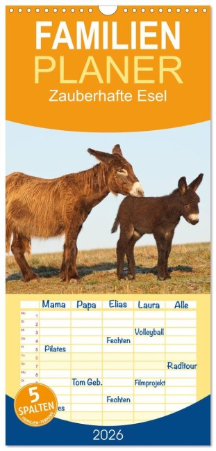 Familienplaner 2026 - Zauberhafte Esel mit 5 Spalten (Wandkalender, 21 x 45 cm) CALVENDO - Meike Bölts