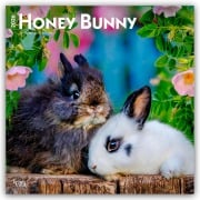 Honey Bunny - Süße Häschen 2026 - 16-Monatskalender - Browntrout Publishers