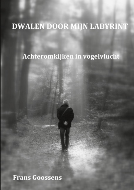 Dwalen door mijn Labyrint - Frans Goossens