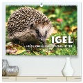 Igel - Niedliche kleine Stachelritter (hochwertiger Premium Wandkalender 2024 DIN A2 quer), Kunstdruck in Hochglanz - Sf Sf