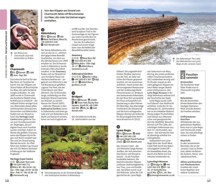 InsideView 10
