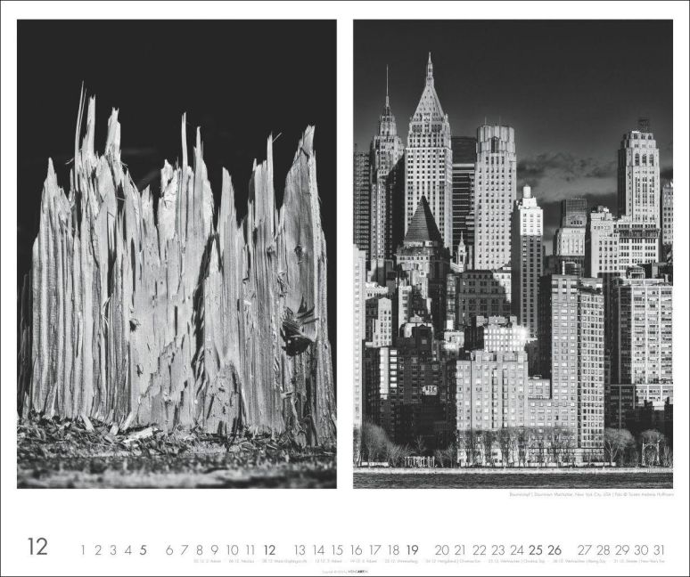 InsideView 12