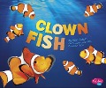 Clown Fish - 