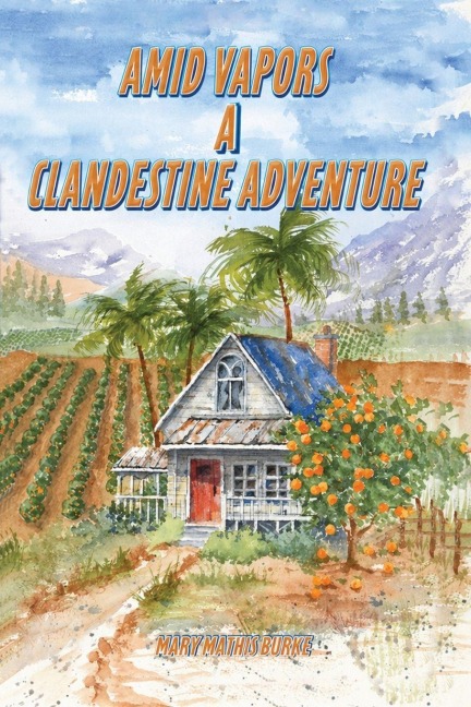 Amid Vapors A Clandestine Adventure - Mary Mathis Burke