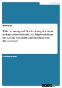 Wahrnehmung und Beschreibung des Islam in den spätmittelalterlichen Pilgerberichten des Arnold von Harff und Bernhard von Breydenbach - 