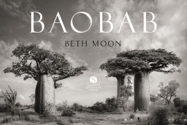 Cover-Bild zum Titel 'BAOBAB: Meine Reise zu den ältesten Lebewesen und Waldwächtern' von ''