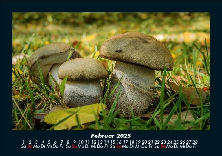 InsideView 6