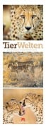 Cover-Bild zum Titel 'Tierwelten Triplet-Kalender 2027 | Artenvielfalt & Lebensräume' von 'Ackermann Kunstverlag GmbH'