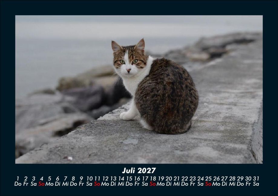 InsideView 11