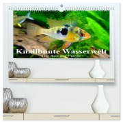 Knallbunte Wasserwelt. Die Welt der Fische (hochwertiger Premium Wandkalender 2026 DIN A2 quer), Kunstdruck in Hochglanz - Elisabeth Stanzer