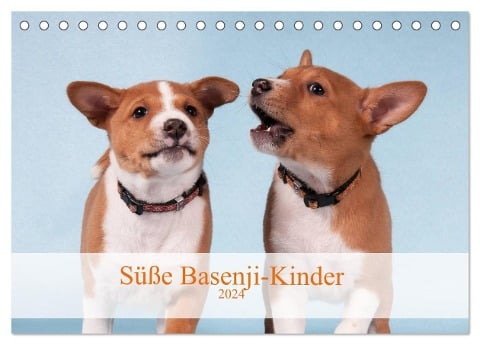 Süße Basenji-Kinder (Tischkalender 2024 DIN A5 quer), CALVENDO Monatskalender - Angelika Joswig