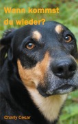 Cover-Bild zum Titel 'Wann kommst du wieder?' von 'Charly Cesar'