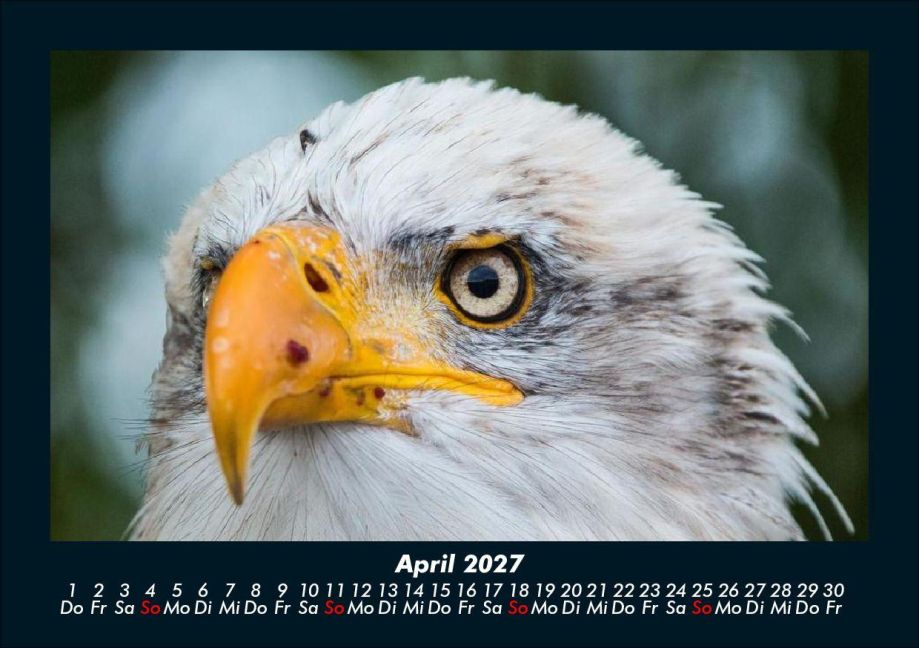 InsideView 8