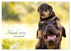 Hunde 2025 - Treue Begleiter (Wandkalender 2025 DIN A3 quer), CALVENDO Monatskalender - Janice Pohle