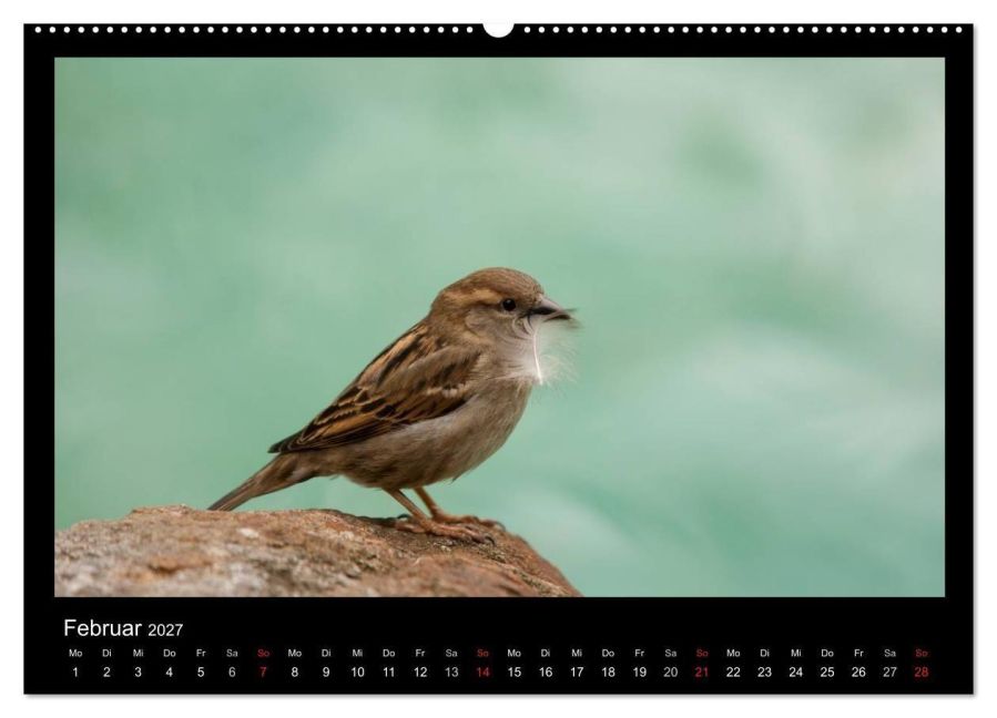 InsideView 6