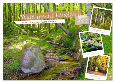 Wald macht glücklich (Wandkalender 2025 DIN A3 quer), CALVENDO Monatskalender - Werner Prescher